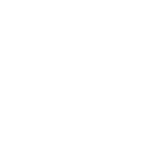 Newagen Seaside Inn logo